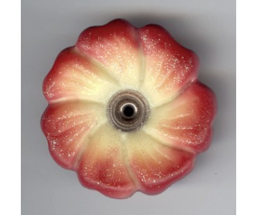 ROSA GELB (VIOLA) - mit Glitzer