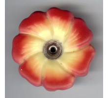 ROSA GELB (VIOLA) - ohne Glitzer