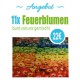 11x FEUERBLUMEN bunt gemischt - mit und ohne Glitzer